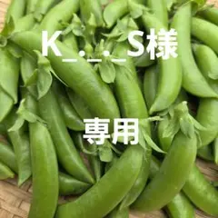 K_._._S様専用ページです❣️