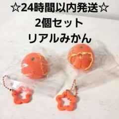 【新品未開封☆即発送】スクイーズ　リアル　みかん　2個セット