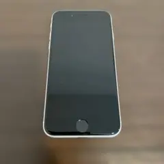 iPhone SE2 ジャンク品 Apple iPhone SE2 64GB スペースグレー 本体 ジャンク品