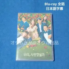 【韓国ドラマ】私たち、恋してたのかな？　Blu-ray 全話