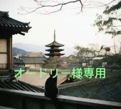 リライブスパッツ メンズ LL 令和の虎人気魔法スパッツ 在庫限定