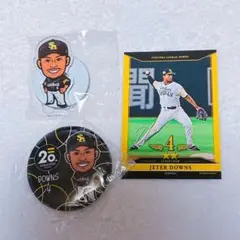 若鷹ガチャ ジーター・ダウンズ 缶バッジ アクスタ カードセット