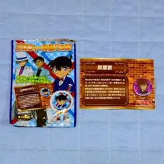 名探偵コナン 灰原哀 プロフィール缶バッジ