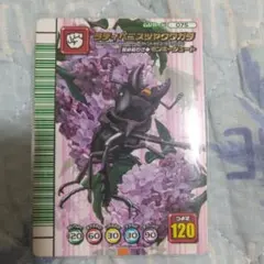 甲虫王者ムシキング ラティペニスツヤクワガタ 075