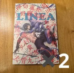 コミックビーム2025年12月号 付録小冊子リネアのみ　2点セット
