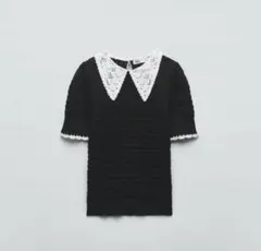 ZARA レース襟 半袖 サマーニット