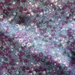 Item thumbnail for item 99bb9d73-b7c8-4aa3-901f-c37c68047b7e