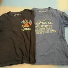 ユニクロ　ティシャツ