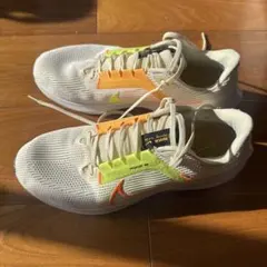 Item thumbnail for item 10c9311e-fe3a-4b45-b5e0-e4006a8a2959