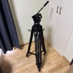 Item thumbnail for item f595a9df-3cd9-4ab6-857a-9c9771cf613f