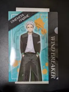 WIND BREAKER　ウィンドブレイカー　クリアファイル　梅宮&椿野