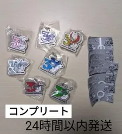 ポケモン30周年メタルチャームめじるしアクセサリー7種コンプリートセット