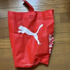 Puma Clever Little Bag 再利用可能