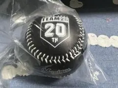 千葉ロッテマリーンズ TEAM26 ファンクラブ 20周年記念ボール