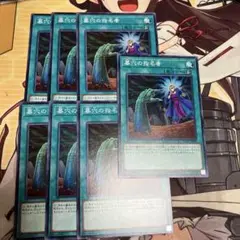墓穴の指名者 ノーマル　7枚