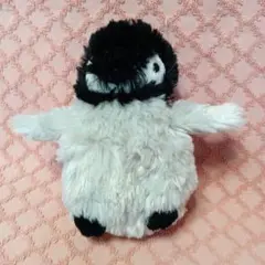 aqua museum　ペンギン　ぬいぐるみ