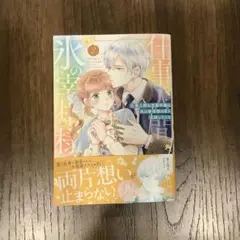 仕事人間な伯爵令嬢は氷の宰相様の愛を見誤っている　2
