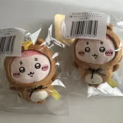 ちいかわ たぬきだもんくじ C賞 ぜったいたぬきなマスコット 古本屋