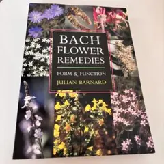 Item thumbnail for item 0785625b-e995-4be5-bb21-469e089c535c