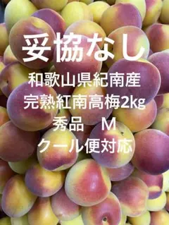 和歌山県紀南産 完熟紅南高梅2㎏ 秀品M - メルカリ