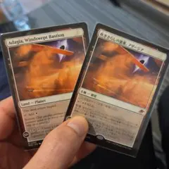 Adagia, Windswept Bastion アダージア　eoe250