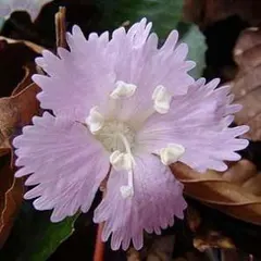 yoranda様 リクエスト 2点 まとめ商品