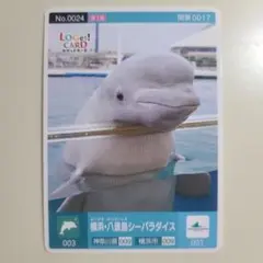 ロゲットカード　八景島シーパラダイスのサムネイル