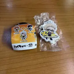 ハイキュー!! くら寿司　月島蛍　めじるしチャーム