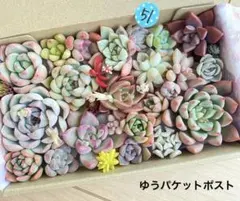 6様 リクエスト 3点 まとめ商品