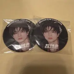 EBiDAN 슈퍼 특급 하루 카시와기 유 캔 배지