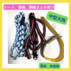 中型犬用 リード・首輪・ハーネスセット