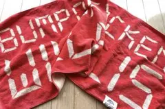 Item thumbnail for item bb109539-9c38-4b29-93d5-130b657b0f76