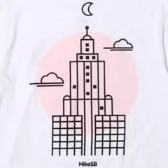 Nike DRI-FIT ホワイト Tシャツ Lサイズ　Nike sb