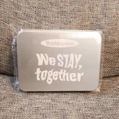 StrayKids スキズ 展覧会 缶入りフレークシールセット