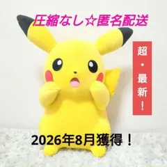 新品タグ付き ポケモン ぬいぐるみ ピカチュウ うすいろ うすチュウ 顔厳選 新品タグ付き ポケモン ぬいぐるみ ピカチュウ うすいろ うすチュウ 顔