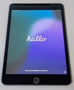 【中古・完動・美品】iPad mini 第5世代 SIMフリーモデル 64GB