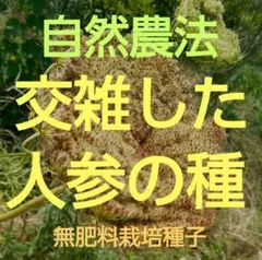 カンコ様 リクエスト 2点 まとめ商品