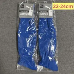 PUMA プーマ ジュニア サッカーソックス 22-24cm