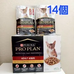 ピュリナ プロプランキャット 子猫用 やわらかチキン ゼリー仕立て