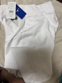 Item thumbnail for item aa397cf6-3c0f-40d0-bf19-11bb92e22f9b