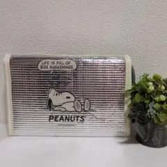 SPRiNG 2025年9月号SNOOPY [スヌーピー]ランチアルミバッグ