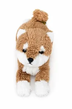 2026年最新】サンレモン 柴犬の人気アイテム - メルカリ