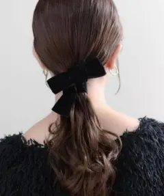 【新品 未使用】hc-1259 ヘアカフ・ポニーフック (noé)