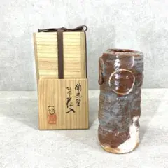 水野澤三作　茶道　水指　鼡志野　鼠志野　耳付　共箱　陽山窯 imgrc0082439889.jpg