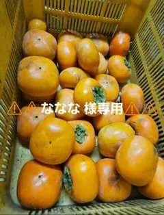 ⚠️⚠️ななな 様専用⚠️⚠️