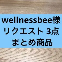 wellnessbee様 リクエスト 3点 まとめ商品