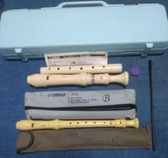 Item thumbnail for item d9929e76-ab19-44ba-8c4f-5c805f63bdd8