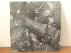 Item thumbnail for item b21c3235-d635-42d4-a618-18f4b0dd46da