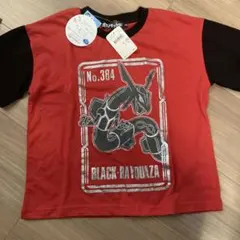 Item thumbnail for item 4390b080-1cc7-4322-8d07-99e172ceced4