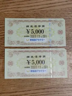 早稲田アカデミー 株主優待券 ¥10,000　●匿名配送●